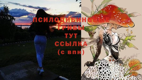бошки Алзамай
