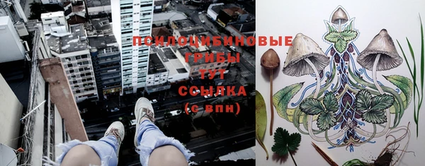 бошки Алзамай