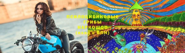 бошки Алзамай