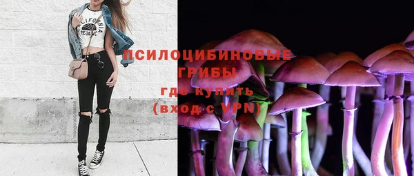 амфетамин Алексин