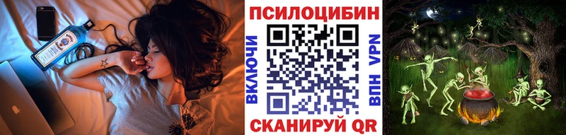 где купить наркоту  Зеленокумск  Галлюциногенные грибы мицелий 