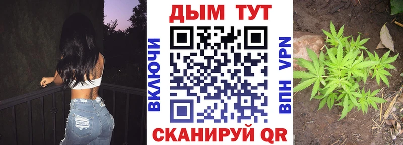 mega зеркало Зеленокумск МАРИХУАНА марихуана